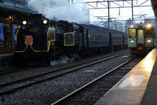 IMGP3822-1.jpg