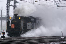 IMGP3906-2.jpg