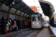 IMGP4313.jpg