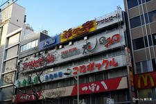 IMGP4305.jpg