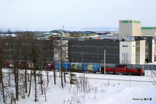IMGP4405.jpg