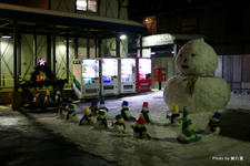 IMGP4414.jpg