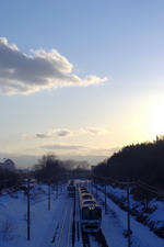 IMGP4522-3.jpg