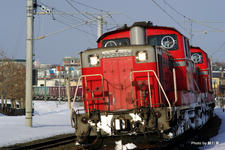 IMGP4649.jpg