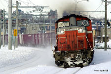 _IGP0218.jpg