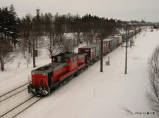 RIMG7619.JPG