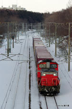 IMGP4824.jpg