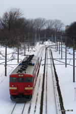 IMGP4867.jpg