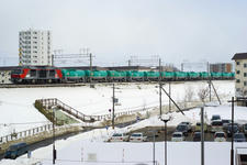 IMGP5062.jpg