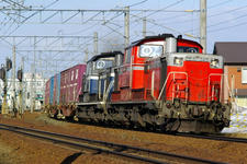 IMGP5561-2.jpg