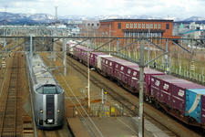 IMGP5627.jpg