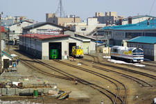 IMGP5691.jpg