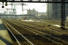 IMGP5707.jpg