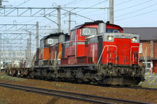 IMGP6407.jpg