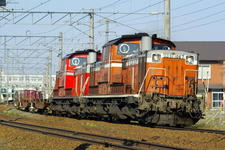 IMGP6444.jpg