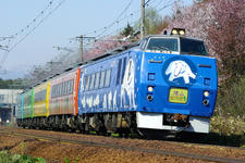 IMGP7127.jpg