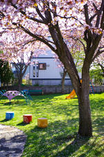 IMGP7213.jpg