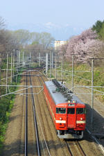 IMGP7297.jpg