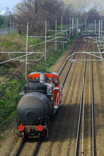 IMGP7283.jpg