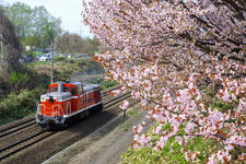 IMGP7327.jpg