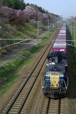 IMGP7365.jpg