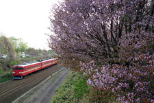 IMGP7448.jpg