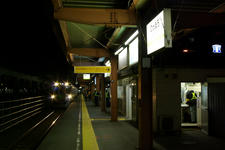 IMGP7510-1.jpg