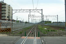 RIMG7944.JPG
