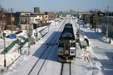 RIMG7529-2.JPG