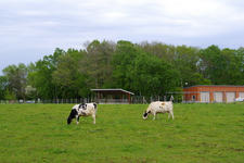 IMGP7980.jpg