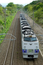 IMGP7972.jpg