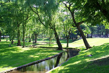 IMGP8235-1.jpg
