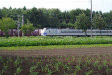 IMGP8255.jpg