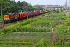 IMGP8276.jpg
