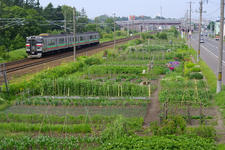 IMGP8272.jpg