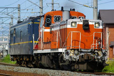 IMGP8636.jpg