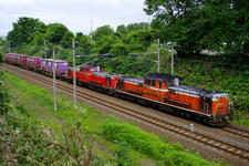 IMGP8747.jpg