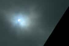 RIMG8063-1.JPG