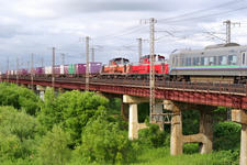 IMGP8854.jpg