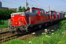 IMGP9224.jpg