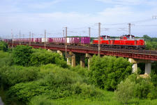 IMGP9294-1.jpg