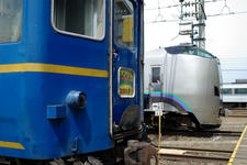 IMGP9637.jpg