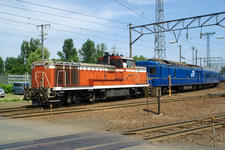 IMGP9707.jpg
