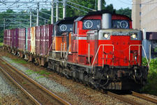 IMGP9748.jpg