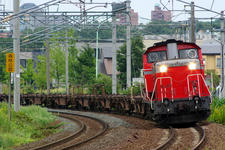 IMGP9838.jpg