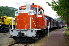 IMGP0250.jpg