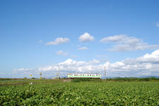 IMGP0997.jpg