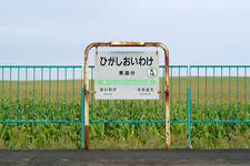IMGP1086.jpg