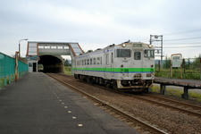 IMGP1101.jpg