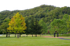 IMGP1274.jpg